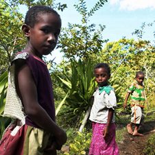 reportage